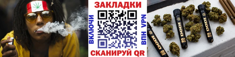 Каннабис Уссурийск