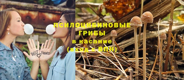 кокаин перу Бородино