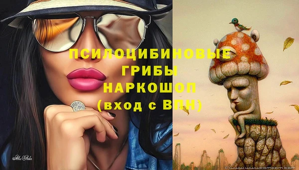 ALPHA-PVP Покачи