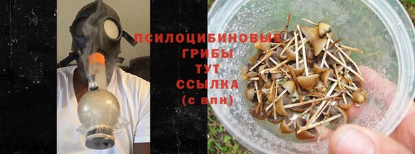 дурь Бронницы