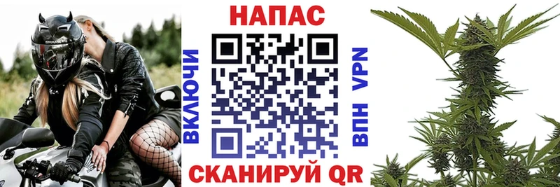 Конопля MAZAR Уссурийск